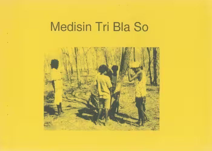 خرید و دانلود نسخه کامل کتاب Medisin Tri Bla So
