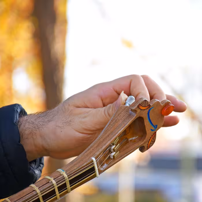 سه تار ایران ساز مدل رها