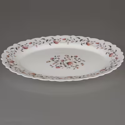 سرویس غذا خوری 25 پارچه آیروپال طرح کنگره مدل گلوریا