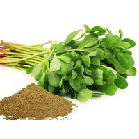 بذر سبزی خرفه ترک آرزومان