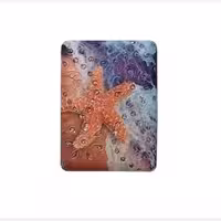 آینه جیبی مدل ستاره دریایی