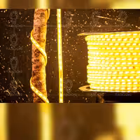 ریسه تاسوکی