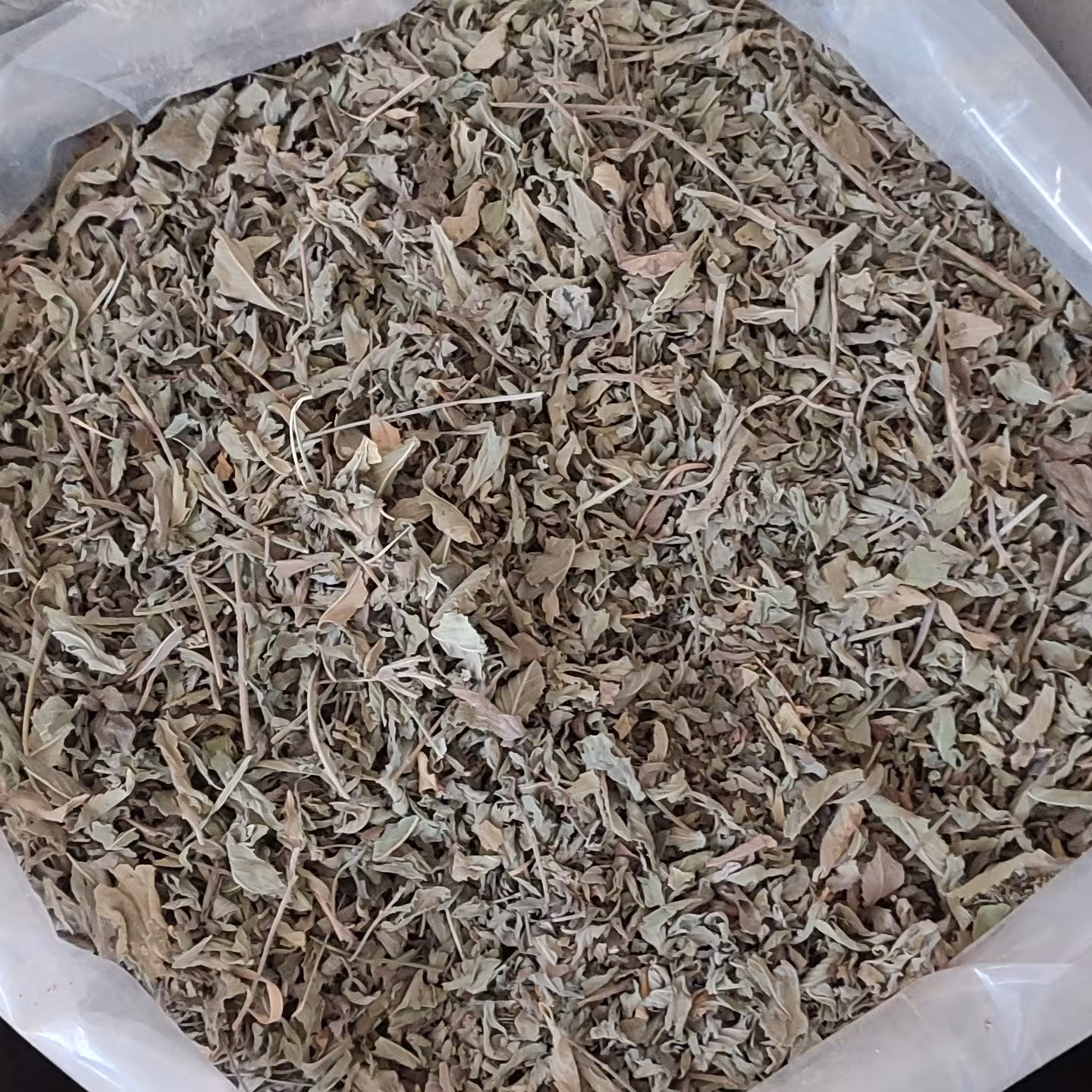 پونه کوهی (یک کیلو)