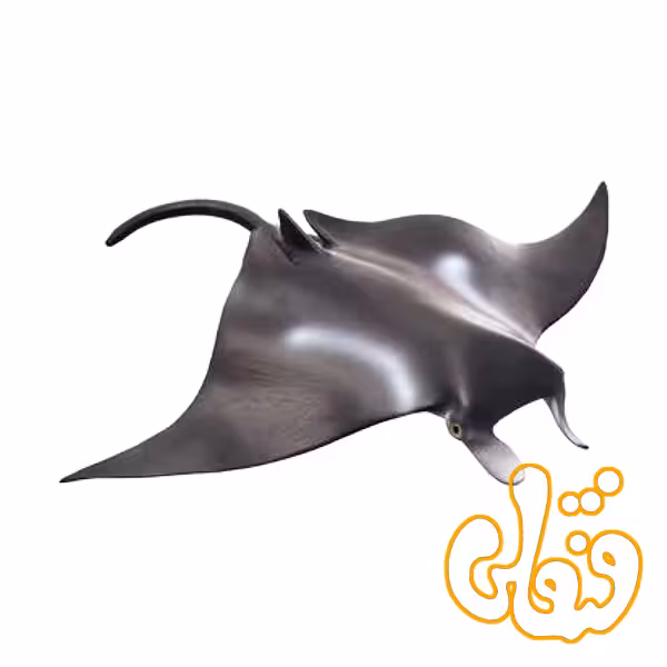 فیگور سفره ماهی موجو Manta Ray 387353