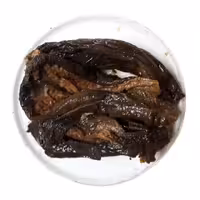 بادمجان ترشی فله