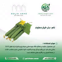 بذر خیار دماوند پاکت 500 عددی