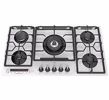 گاز صفحه ای آلتون G535DW