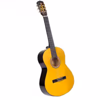 گیتار دیاموند