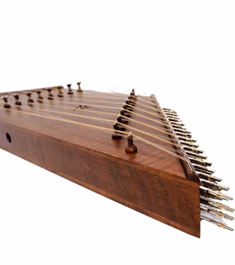 سنتور موسوی یک مهر ویژه