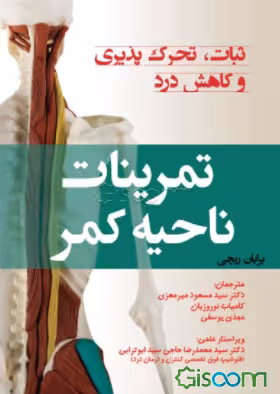 تمرینات ناحیه کمر: ثبات، تحرکپذیری و کاهش درد کد3554