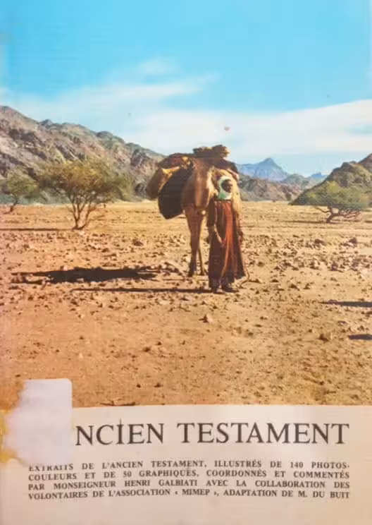 L'Ancien Testament: Histoire des hommes que Dieu sauve | Henri Galbiati