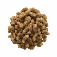 توت خشک ارگانیک خشکبار نقوی فله