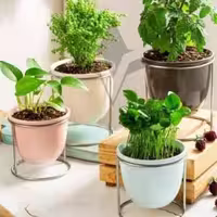 گلدان سرامیکی رنگی والریا
