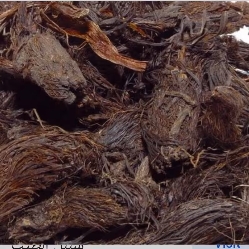 سنبل الطیب  درجه یک (100گرمی)