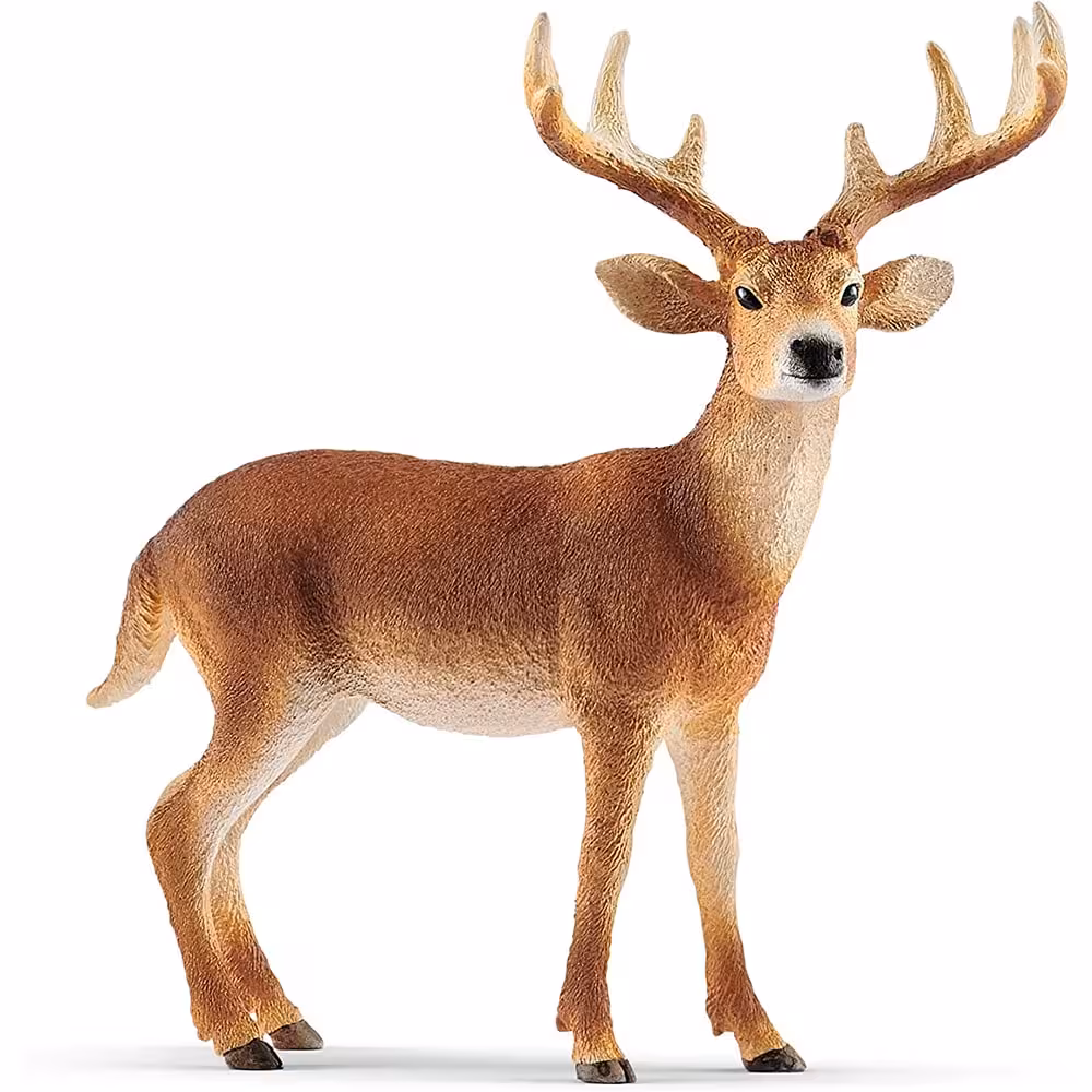 فیگور گوزن دم سفید نر MOJO White Tailed Deer Buck