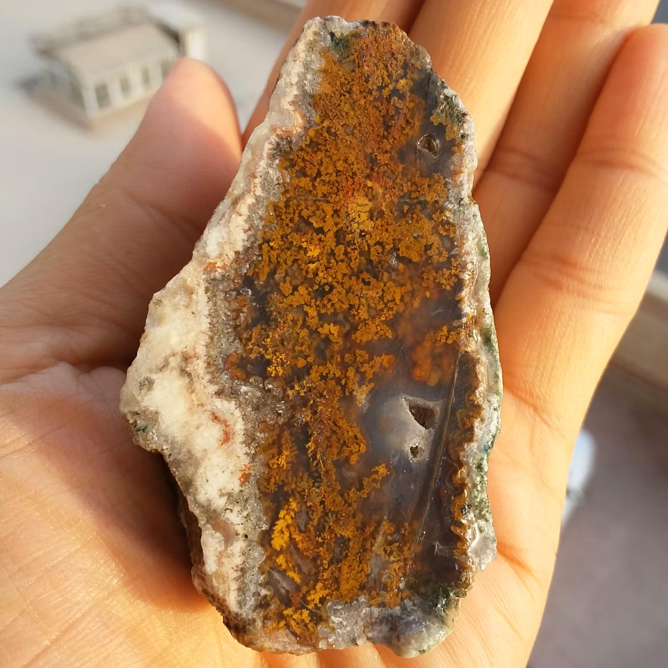 اسلایس سنگ راف عقیق شجر دریایی 7رنگ خارق العاده زیبا شاهکار خلقت 100 در 100 طبیعی با قابلیت ساخت چندین نگین محشر