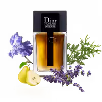 عطر دیور هوم اینتنس ( DIOR homme intense )