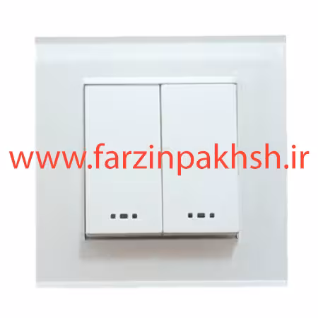 کلید دو پل توکار دلند مدل آسا پلکسی سفید