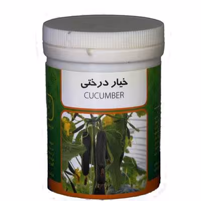 بذر خیار درختی رامان