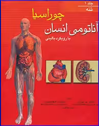 کتاب آناتومی انسان با رویکرد بالینی چوراسیا جلد 1 تنه