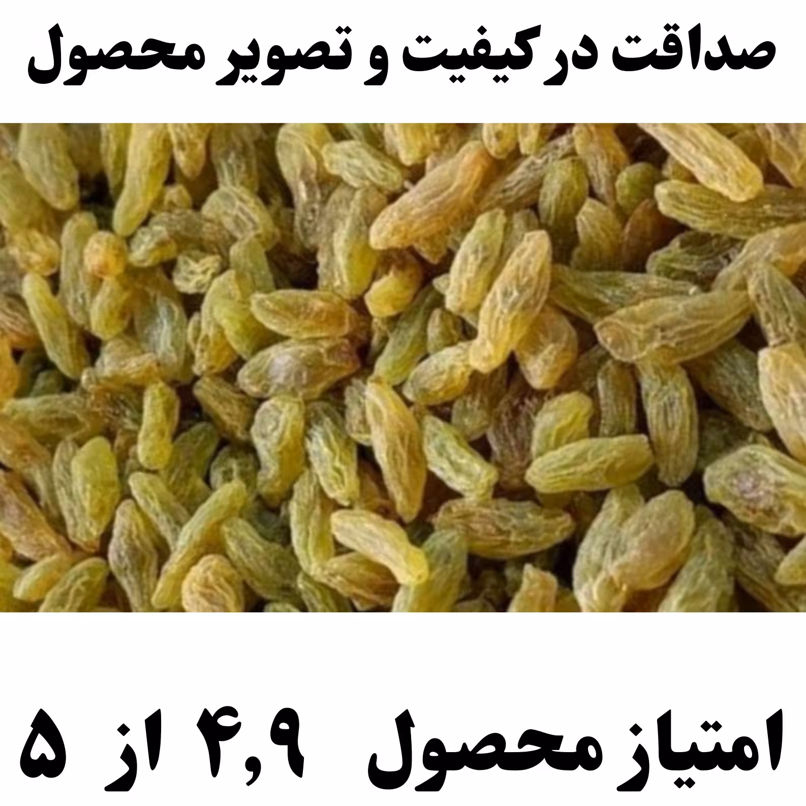 کشمش سبز قلمی کاشمر(2 کیلویی-تخفیف خرید مستقیم از باغدار)(کاملا یکدست-محصول تازه 1403)(وزن های دیگر موجوده)ضمانت