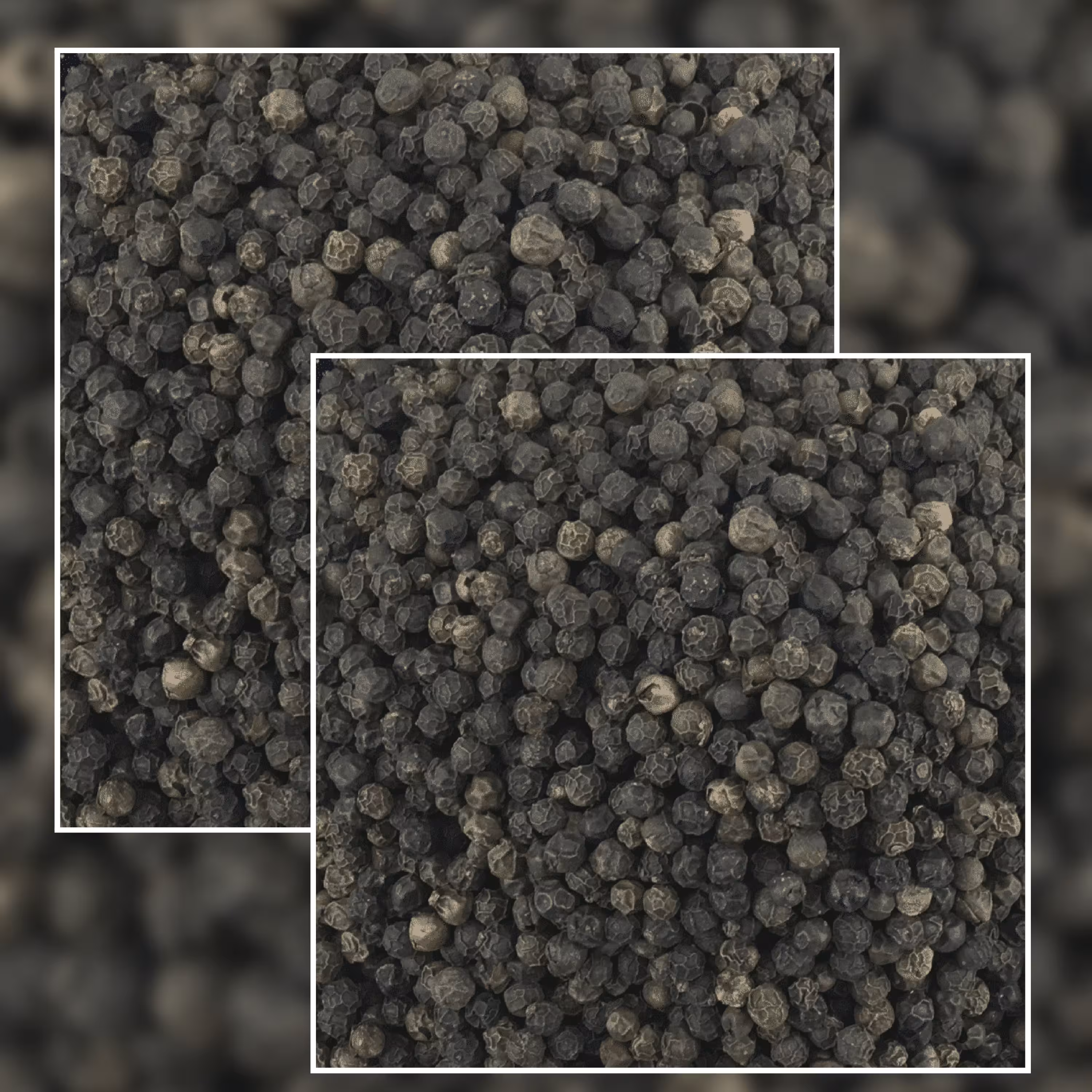 دانه فلفل سیاه ممتاز بسته 100 گرمی 38