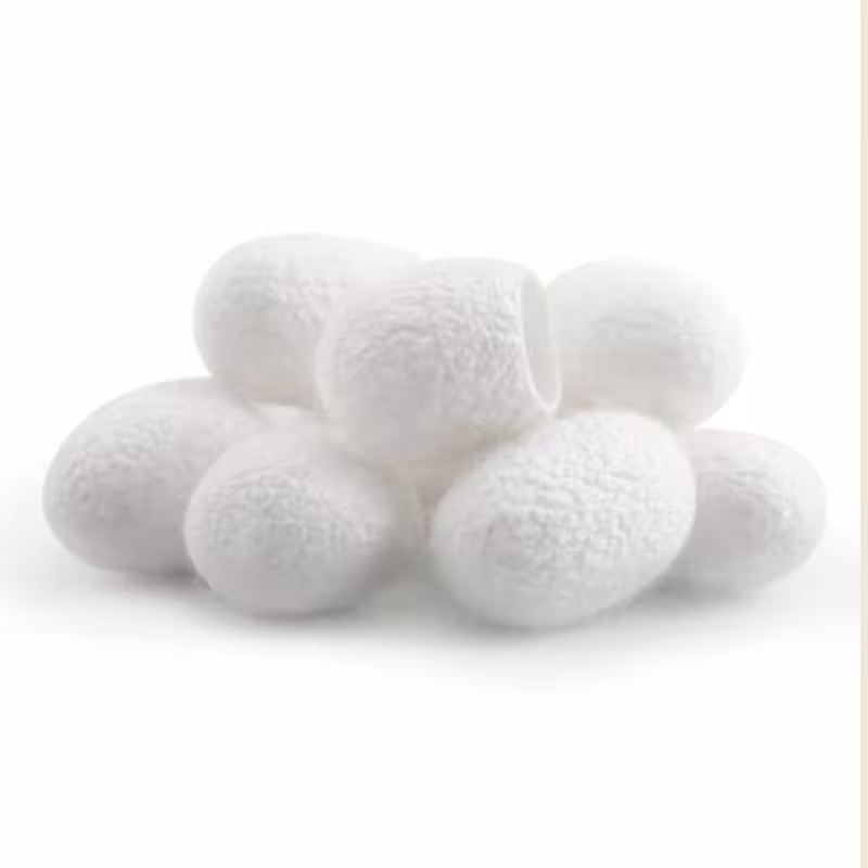 پیله   ابریشم 