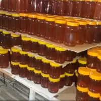عسل بدون برچسب جنگلی 20 کیلویی