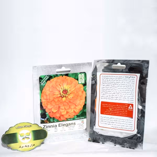 بذر گل آهار پاکوتاه نارنجی ( بسته 5 تایی)