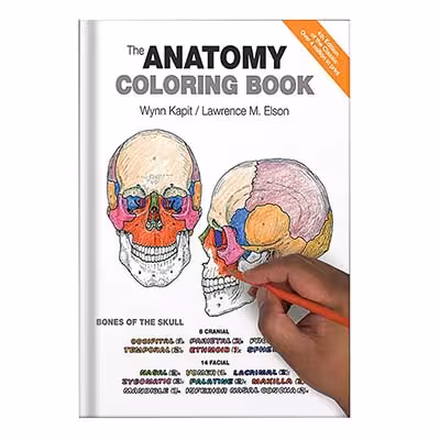 خرید و دانلود نسخه کامل کتاب The Anatomy Coloring Book by Wynn Kapit, Lawrence M. Elson