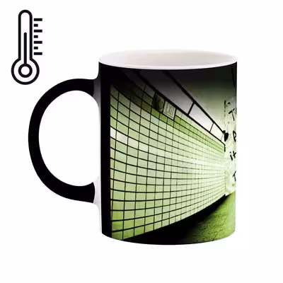 ماگ حرارتی کاکتی طرح فانتزی مدل mgh12423