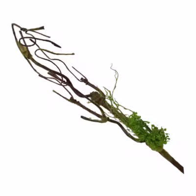 گل مصنوعی مدل شاخه درختی 