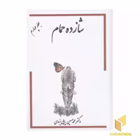 کتاب شازده حمام(ج4-R-وزیری) اثر دکتر محمد حسین پاپلی یزدی نشر گوتنبرگ