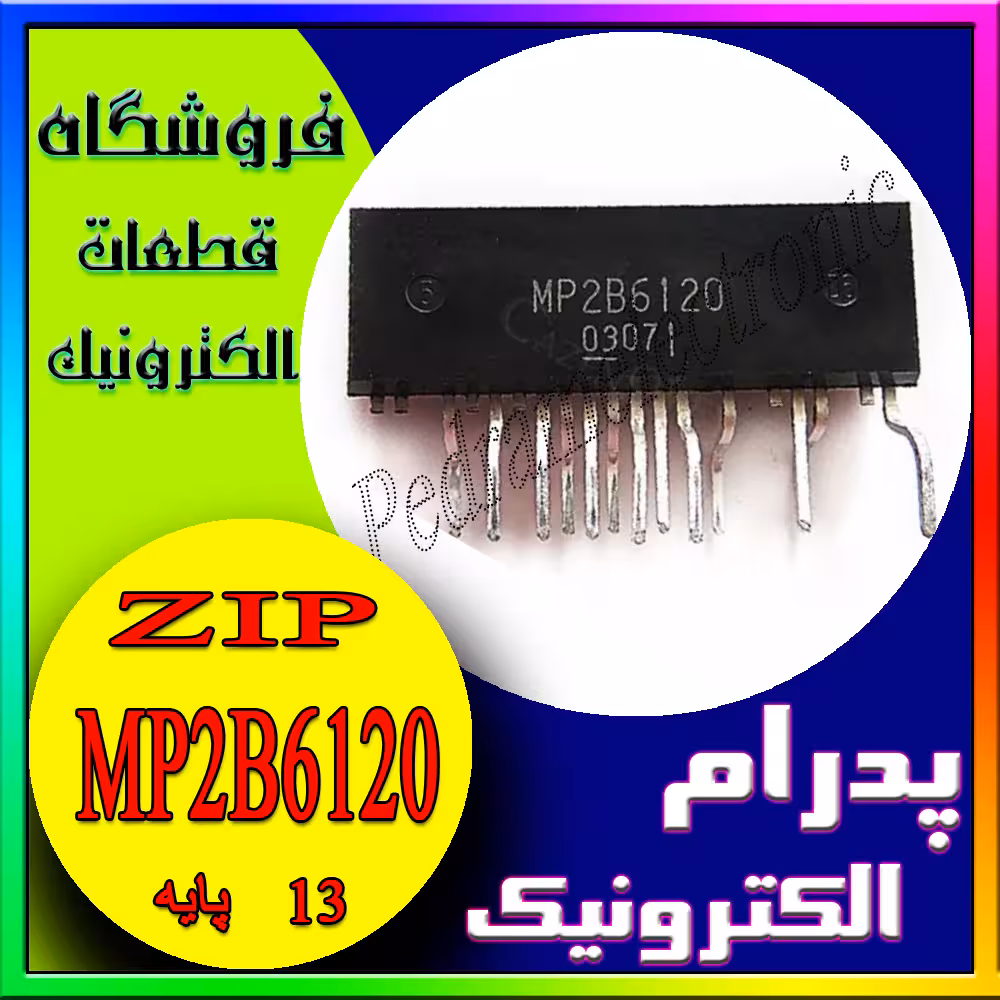 MP2B6120 ZIP-13PIN
