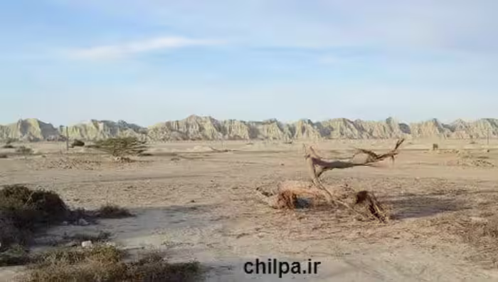 پاورپوینت درباره آشنایی با اکولوژی محیطهای مختلف (بیوم ها)    - چیلپا