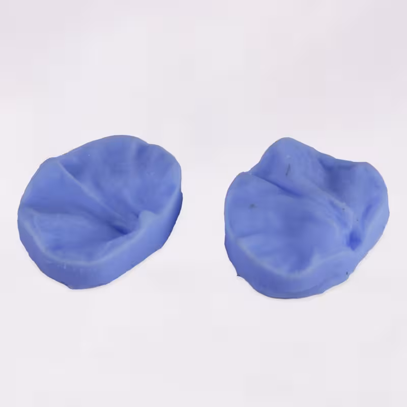 بودکور وينر سيليکوني سوييت پي 2100119