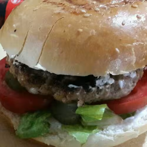 همبرگر با گوشت شتر و بوقلمون