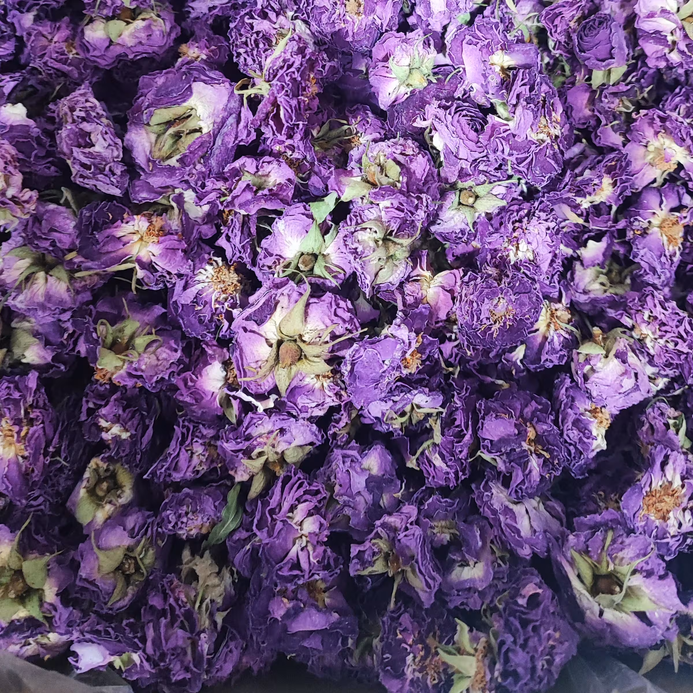 غنچه گل محمدی آذر شهر 100 گرم 