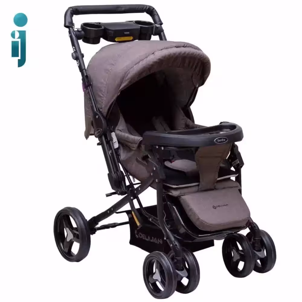 کالسکه دلیجان مدل بنیتا Delijan Benita