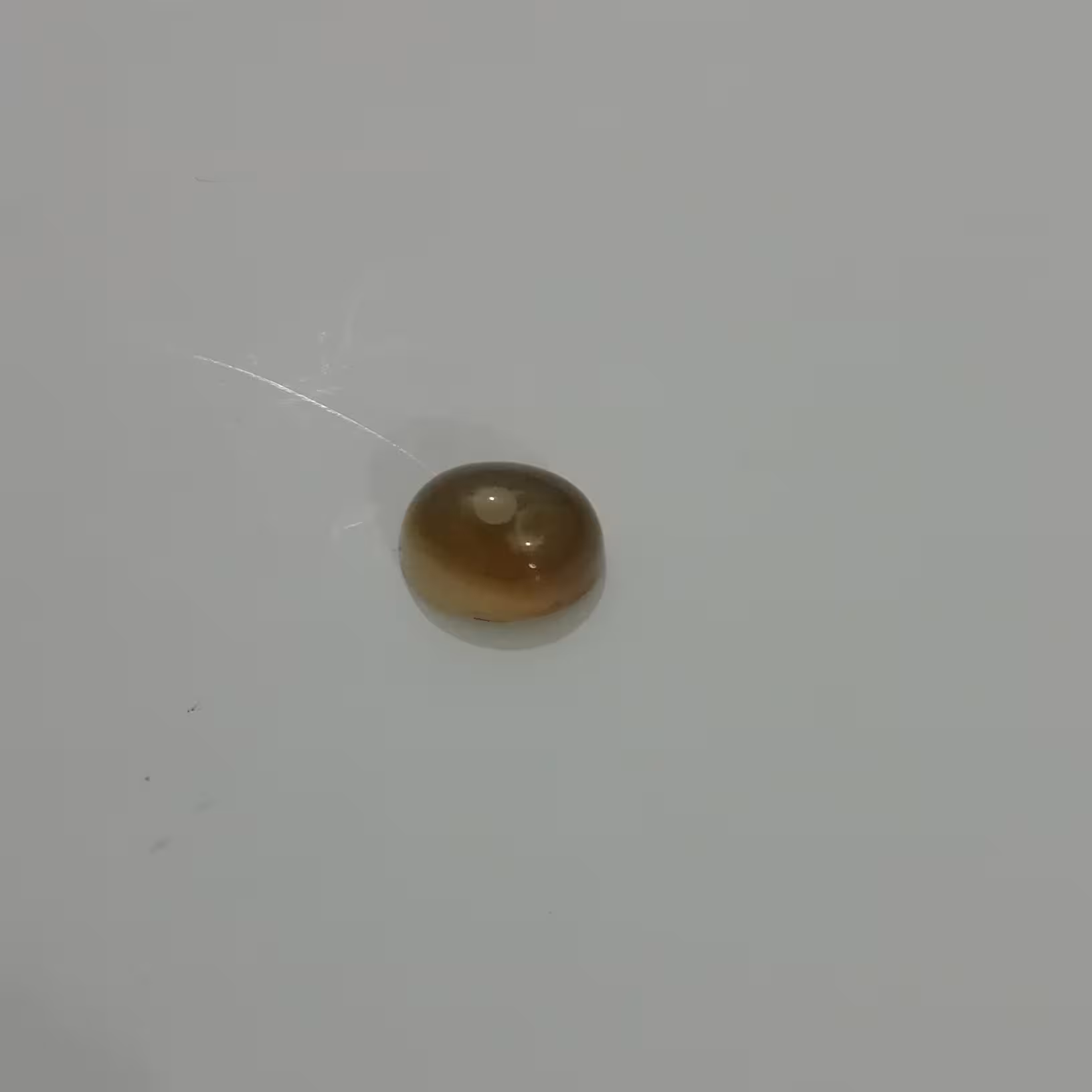 سنگ باباقوری زیبا تک چشم