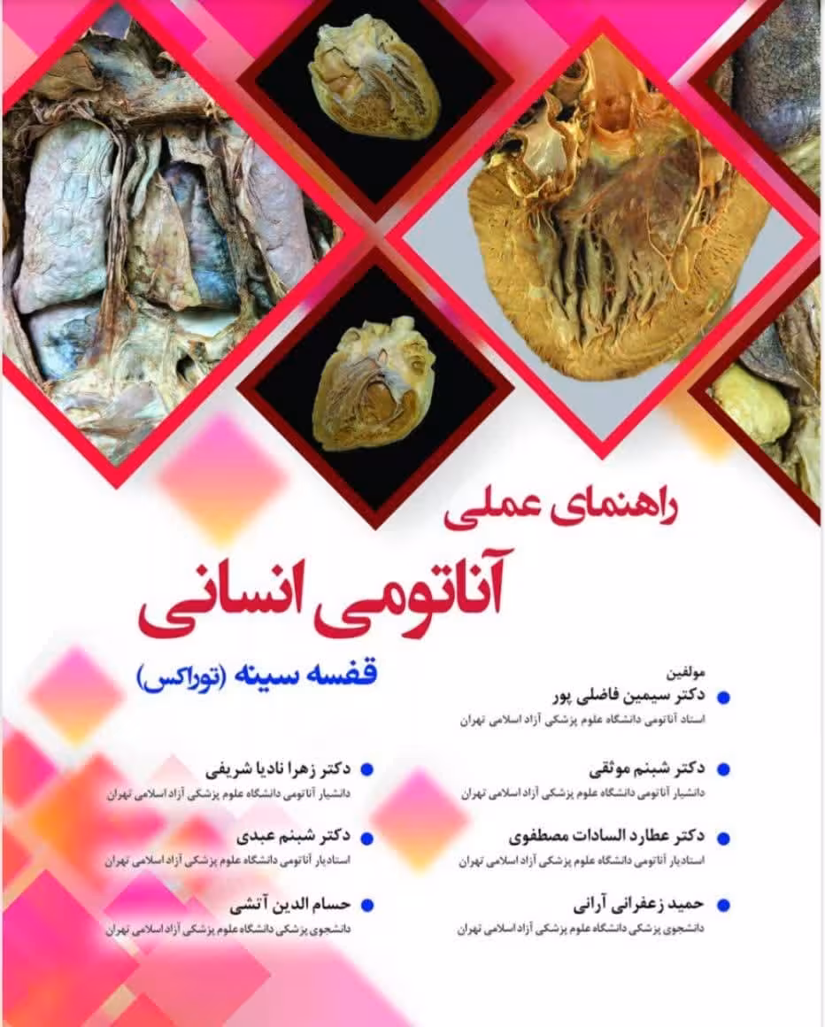 راهنمای عملی آناتومی انسانی توراکس قفسه سینه
