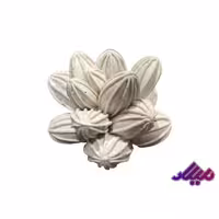 قالب سیلیکونی کاکتوس چند پر قطر5 ارتفاع 4.5