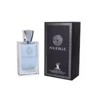 عطر اسپیگان پور بلو ( ESPIGAN – Pour Blue 100ml )