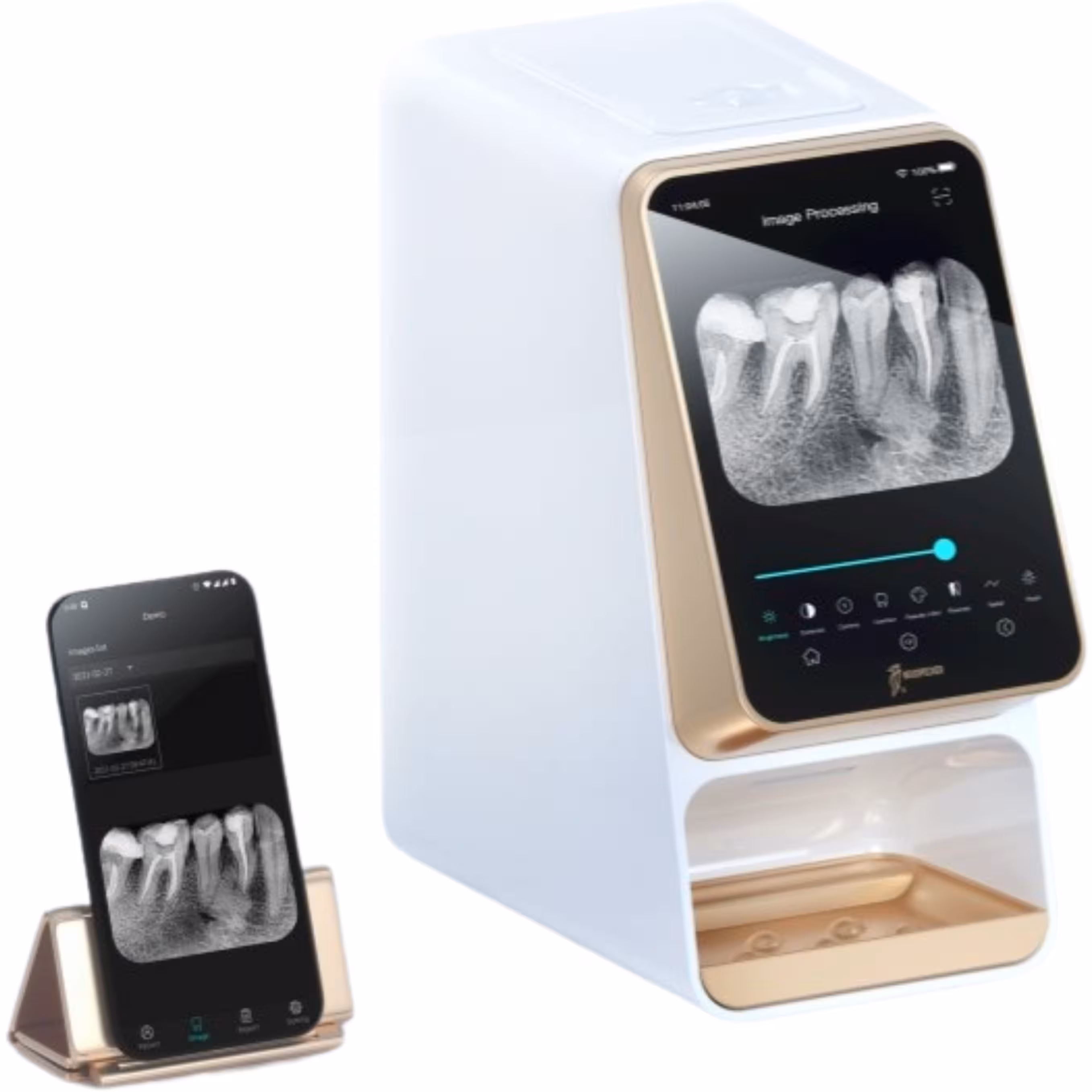 فسفرپلیت وودپیکر Woodpecker مدل i-Scan پرو