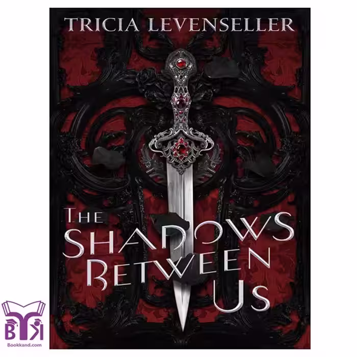 کتاب The Shadows Between Us