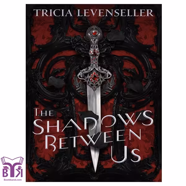 کتاب The Shadows Between Us