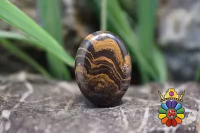 استروماتولیت