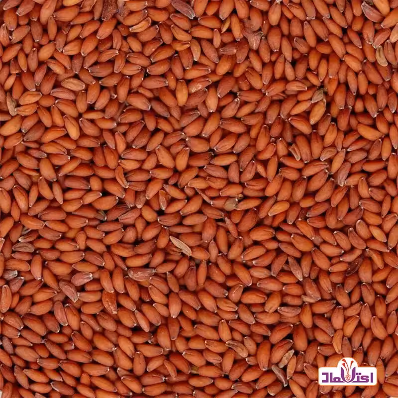 بذر شاهی 50 گرمی اعتماد درجه یک و اعلا | amazonchi
