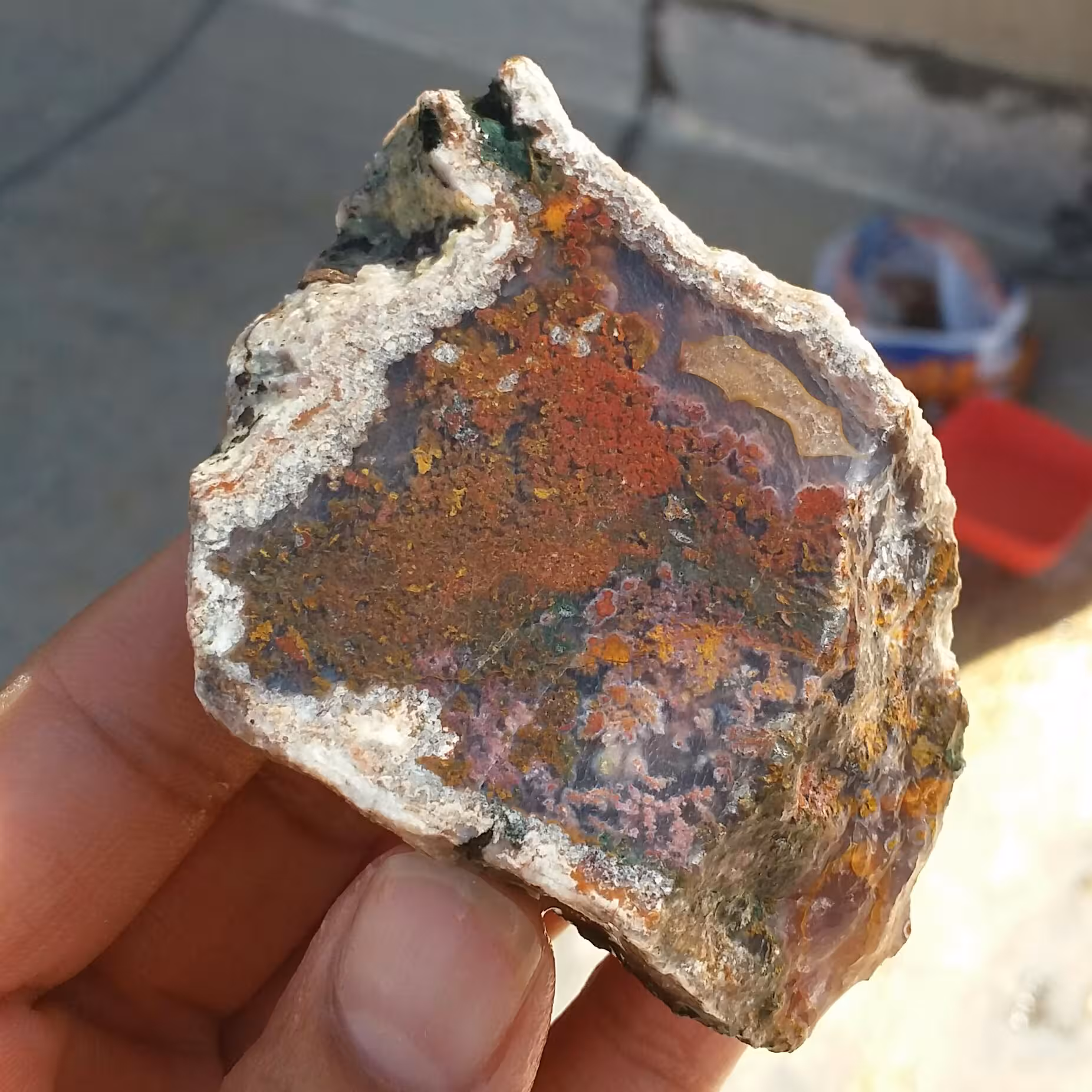 اسلایس سنگ راف عقیق شجر منظره هفت رنگ دریایی بسیار زیبا و خاص 100 در 100 طبیعی  شاهکار خلقت
کد 12220