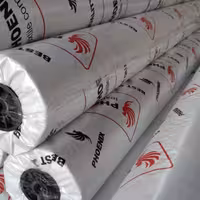 بنر ایرانی فونیکس عرض 120